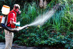 mosquito control services