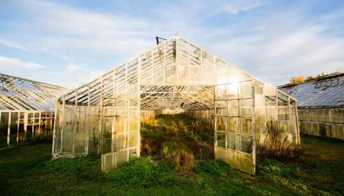 greenhouse management