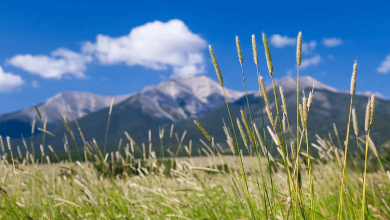 3 Tips To Help You Sell Your Land In Colorado